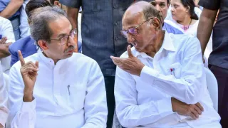 Maharashtra Election: MVA Seat-Sharing Deal Finalised, Congress, Uddhav Sena, NCP To Contest 85 Seats Each