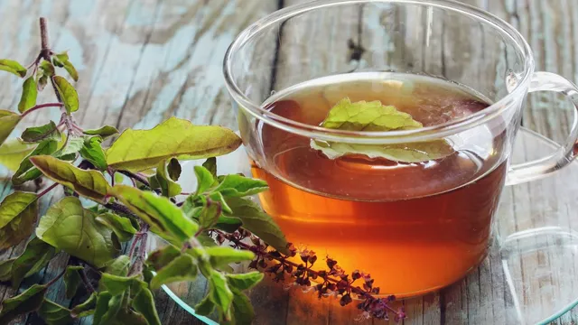 tulsi-water-5-key-benefits-of-drinking-one-glass-of-it-every-morning-for-better-health