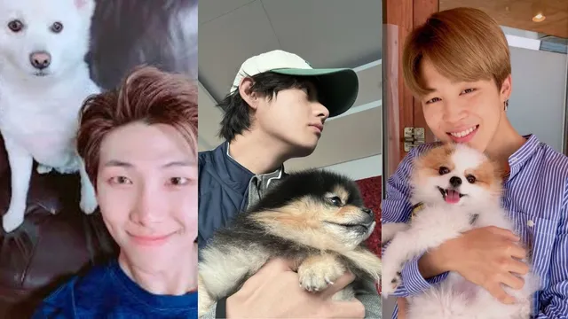 bts-members-and-their-pets-adorable-pets-owned-by-v-aka-kim-taehyung-jungkook-jimin-jin-rm-jhope-and-suga