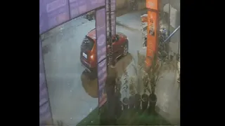 Viral Video: Woman Driving BMW Steals Flower Pot From Roadside In Noida; Internet Is Speechless