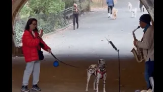 Viral Video: Pet Dog ‘Jams’ With Street Saxophonist, Internet Can’t Stop Smiling | WATCH