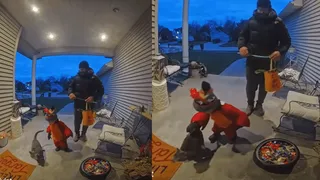 ‘Youngest Cat Person’: Internet Reacts To Wholesome Video Of Little Boy 'Prioritising’ Cat Over Halloween Candies | WATCH