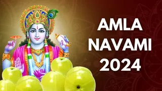 Amla Navami 2024: Date, Time, Shubh Muhurat, Significance And Rituals Of This Sacred Day