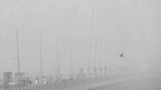 Dense Smog Shrouds Delhi As AQI Remains Severe For 2nd Consecutive Day, Poor Visibility Disrupts Train And Flight Ops