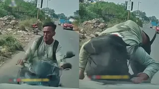 Viral Video: Man Uses Phone While Driving Scooter; Meets A Gruesome Fate | WATCH