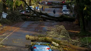Bomb Cyclone Explodes Over US Coast, Power Supply Disrupted In California, Washington; 2 Killed | Watch Video