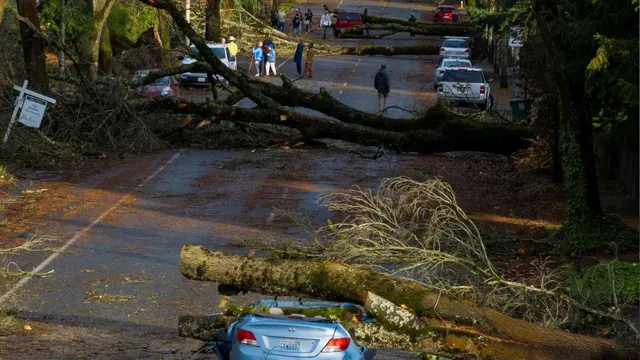 bomb-cyclone-storm-two-killed-power-supply-disrupted-in-california-washington-as-bomb-cyclone-explodes-watch-videos
