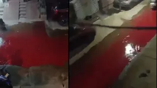 Hyderabad: Red Blood-Like Water Floods Streets Near Jeedimetla Industrial Estate, Causes Panic Among Locals | VIDEO