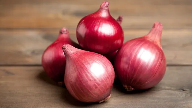 afghan-onions-arrive-in-pune-market-yard-amid-local-supply-crisis-check-prices