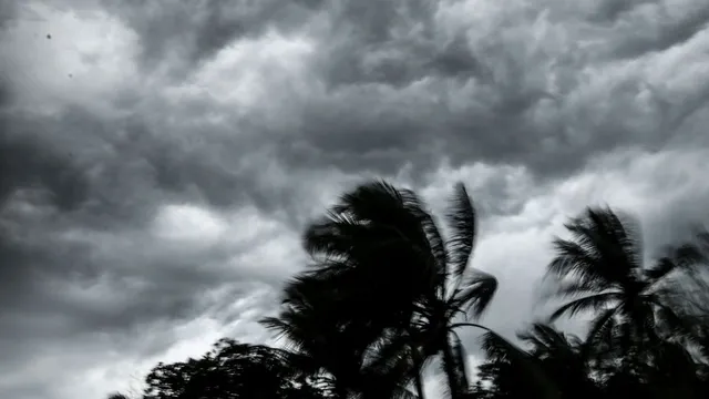 cyclone-fengal-landfall-update-tamil-nadu-weather-chennai-rain-school-holiday-cyclone-imd-alert-latest-news