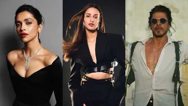 imdb-most-popular-indian-stars-of-2024-list-tripti-dimri-beats-deepika-padukone-and-shah-rukh-khan