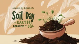 world-soil-day-2024-date-history-significance-messages-best-slogans-quotes-and-why-is-it-celebrated-on-december-5th