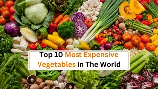 List Of Top 10 Most Expensive Vegetables In The World: White Truffle To Hop Shoots That Cost In Lakhs Per KG