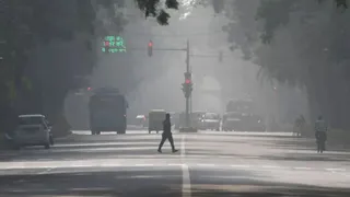 Weather Update: IMD Issues Yellow Alert For Delhi Amid Dense Fog, Cold Wave; Rainfall Expected In Tamil Nadu, Puducherry | Forecast