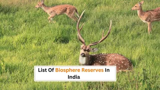 List Of Biosphere Reserves In India: What Is Biosphere Reserve? Know Their Importance For Ecosystem