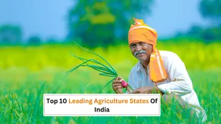 Farmers Day 2024: Top 10 Indian States Leading In Agriculture