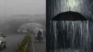 Weather Update: Heavy Fog, Light Rain Alerts Across Several States Till December 24 | Check IMD Forecast