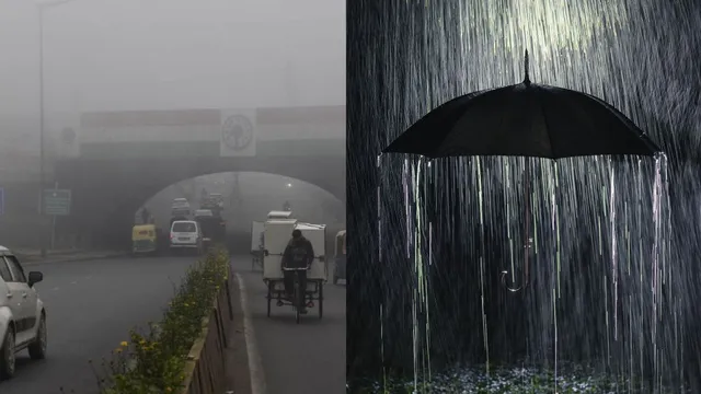 weather-update-heavy-fog-light-rain-alerts-across-several-states-till-december-24-check-imd-forecast