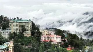 Shimla Weather: IMD Puts Hill Station On Yellow Alert, Rain And Snow In Multiple Areas In Himachal