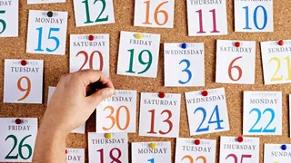 Gazetted Holidays 2025 In India: Complete List of Public And Government Holidays