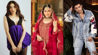 Top 6 TV Actors Who Made Headlines With Their Debut Films In 2024