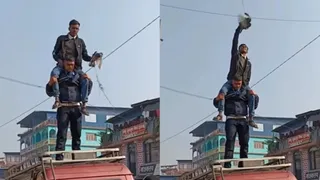 Men Save Pigeon Trapped in Wires, Proving Heroes Don't Need Capes; Viral Video Wins Internet