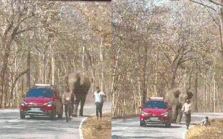 kerala-chilling-video-of-angry-elephant-chasing-down-two-men-goes-viral-watch