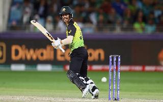 'Expecting Crowd To Come At Us Hard': David Warner Ahead Of T20I Series Against New Zealand