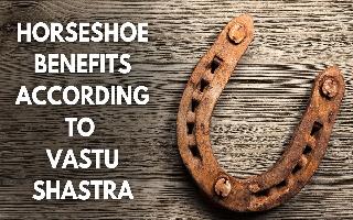 horseshoe-can-make-your-house-money-and-good-luck-magnet-know-its-benefits-in-vastu-shastra
