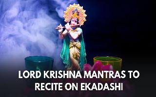 jaya-ekadashi-2024-7-powerful-lord-krishna-mantras-to-chant-for-success-and-wealth