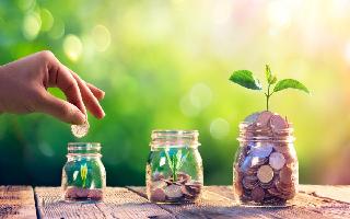 5 Simple Tips To Grow A Healthy Money Plant And How To Take Care Of It