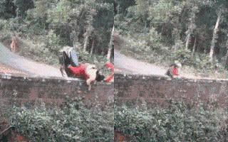 How Not To Drive Scooty 101: Women Flies Over The Wall After Driver Crashes Two-Wheeler Into Bridge