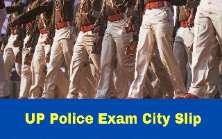up-police-admit-card-2024-upprpb-assistant-operator-workshop-hand-head-operator-city-intimation-slip-released-at-uppbpb-gov-in-get-download-link