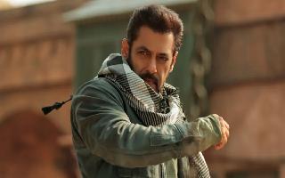 Salman Khan's Security Breached: Two Arrested With Fake IDs From Actor's Arpita Farm House In Panvel