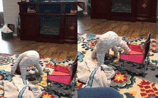 Toddler’s ‘Technique’ To Sit On A Chair Will Leave You ROFLing; Viral Video Is Too Cute To Miss