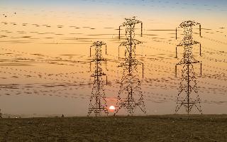 telangana-govt-begins-implementation-of-gruha-jyothi-scheme-to-provide-200-units-free-electricity