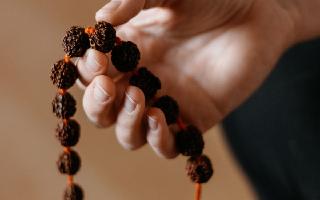 Mahashivratri 2024: THESE 7 Rudraksha Beads Might Help You Attain Success And Wealth