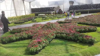 Kochi Flower Show Receives 'Stop Memo' On Last Day For Safety Lapses After MLA Uma Thomas' Accident