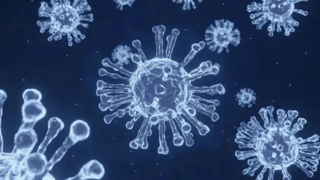 hmpv-virus-outbreak-triggers-panic-in-china-what-are-its-symptoms-treatment-and-precautions-full-details