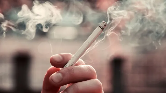 how-tobacco-use-and-winter-smog-are-deadly-combination-for-lung-health-doctor-explains