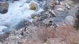Jammu And Kashmir: Four Killed After Vehicle Plunges Into Gorge In Kishtwar; Rescue Ops On
