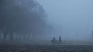 Weather Update: North India Shivers As Mercury Plummets, Dense Fog Grips Delhi; Schools Shut In Jharkhand Till January 13