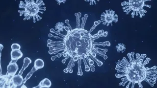 HMPV Outbreak: Delhi Hospitals On High Alert Amid Surge In Cases In China | Details