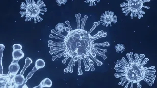 HMPV Virus Cases In India: Doctor Advice On How To Protect Yourself