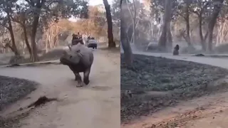Heart-Stopping Moment: Mother And Daughter’s Safari Adventure Nearly Turns Tragic In Kaziranga | Viral Video