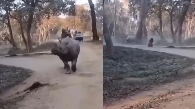 heart-stopping-moment-mother-and-daughter-safari-adventure-nearly-turns-tragic-in-kaziranga-viral-video