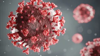 hmpv-cases-india-lockdown-jp-nadda-health-ministry-who-human-metapneumovirus-icmr