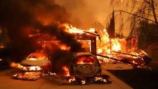 Los Angeles Wildfire: Pacific Palisades Firestorm Leaves 5 Dead, Biden Cancels Italy Trip As Loss Surpasses $50 Bn | Top Updates