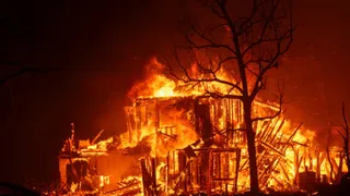 Los Angeles Wildfire Leaves Five Dead, Forces Hollywood Celebrities To Flee Homes; Oscar Nominations Postponed | Video