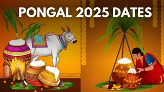 Pongal 2025: Date, Time, Significance And Day-Wise Rituals Of This Harvest Festival